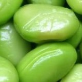 Awatar dla Edamame_Beans