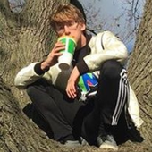 Yung Zebra
