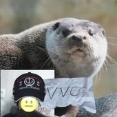 VVC GANG