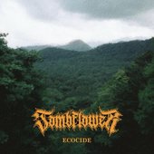 Ecocide