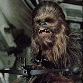 Avatar di partylikechewie