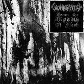 From the Depths of Flesh [Explicit]