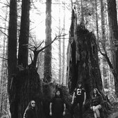 Suicide Forest (Usa)