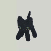 Avatar for maciejanie