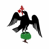 image_2024-02-20_102527662.png