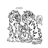 F_9N-zRWcAAeQ2r.jpg_large.jpg