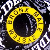 Bronx Male Zystem