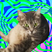 Avatar for natalio_jpg