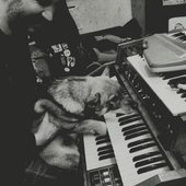 oli-pic-dog.jpeg