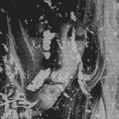 Nadiayum19 的头像