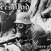 5 Years of War