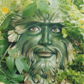 Аватар для essexgreenman