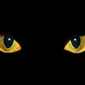 These eyes don't blink.