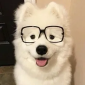SapPanteraFan さんのアバター