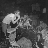 IMG_8952.jpeg