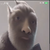 Avatar for TestifyForeSkin