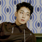 wonwoo semicolon