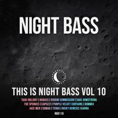This is Night Bass Vol. 10