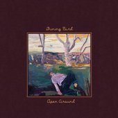 Open Ground