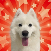 Avatar for pizzauncle44