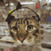 Avatar for tinykoko
