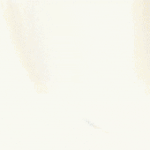 epsilonic 的头像