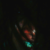Avatar for blackli0n123