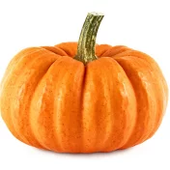 Avatar for pumpkinmelone