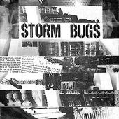 storm bugs