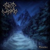 Zamieć