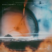 Shallowsky