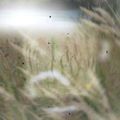 Wimp -as it is, fragmented, imperfect