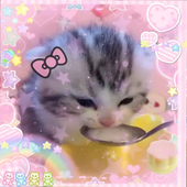 ishiebear 的头像