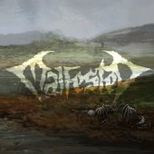 MALFESTED