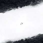 Learning to fall