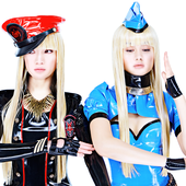 FEMM