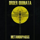 Order Odonata – Metamorphosis