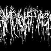 A-11388608-1663363868-6849.jpg