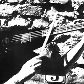 fiolgitarr.png
