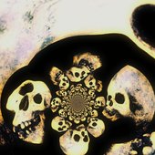 Quantum Pilgrims
