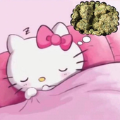 ali_bunny_ 的头像