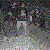 78120_photo.gif