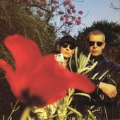 Pet Shop Boys '95