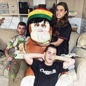 Petal-Head-band-2015.jpg