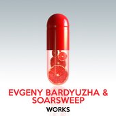 Evgeny Bardyuzha & Soarsweep Works (feat. Manon Polare)