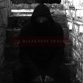 a bleakness track.jpg