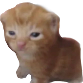 Avatar de chadyeet