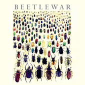 beetlewar さんのアバター