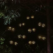 Like the Others