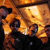 Revelbeat
